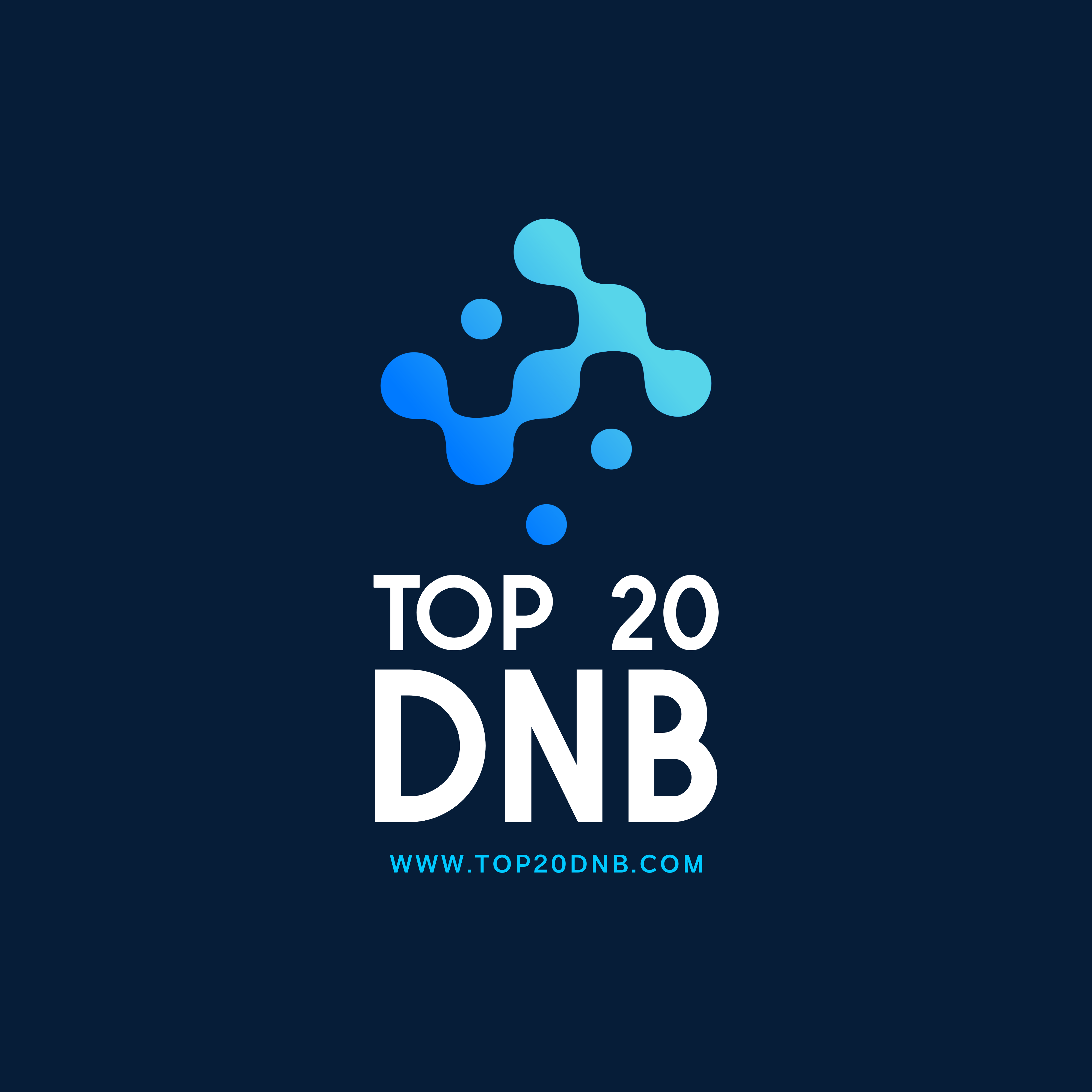 Top 20 Drum n Bass of 2008 archive image
